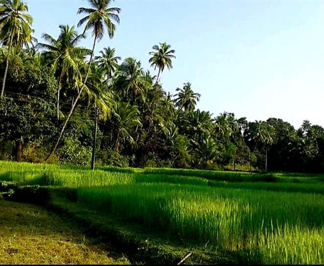 Vivaresidence Homestay Alappuzha Exterior foto